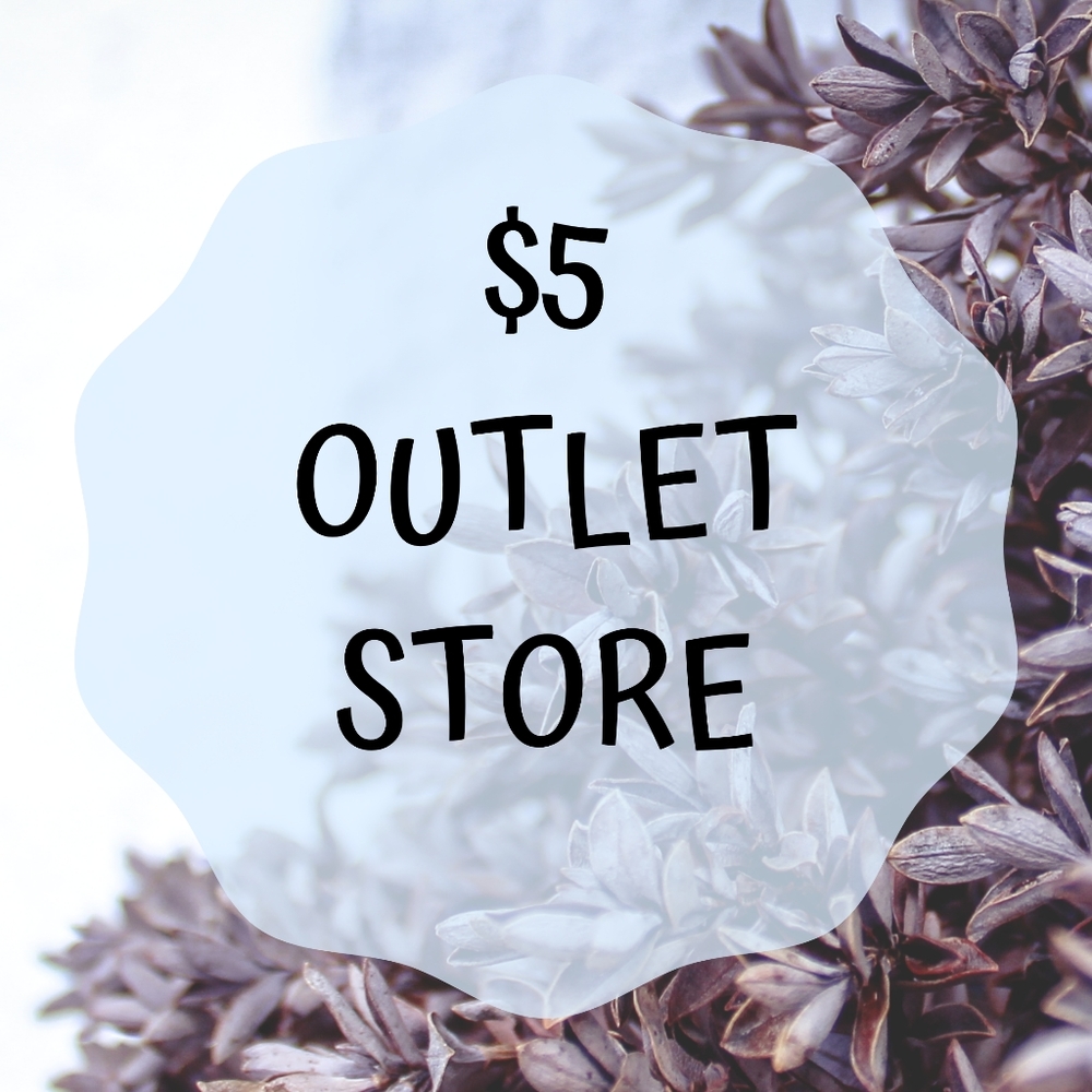 Everything $5 clearance outlet store! 5 for $20!